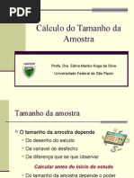 Calculo_Tamanho_da_amostra.ppt