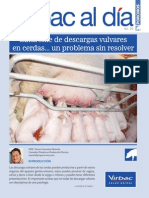 Cerdos PDF