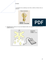 6calcloluminotecnico