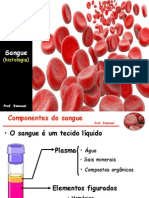 Sangue-histologia 