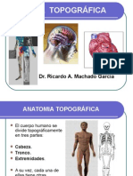 Anatomia Topogr Fica