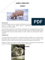 Cerdo omnívoro doméstico descripción alimentación