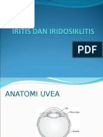 Iritis Dan Iridosiklitis