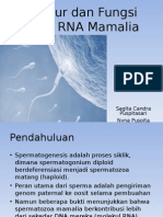 Struktur dan Fungsi sperm RNA Mamalia, Ind.ppt