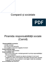 Companii Si Societate RSC