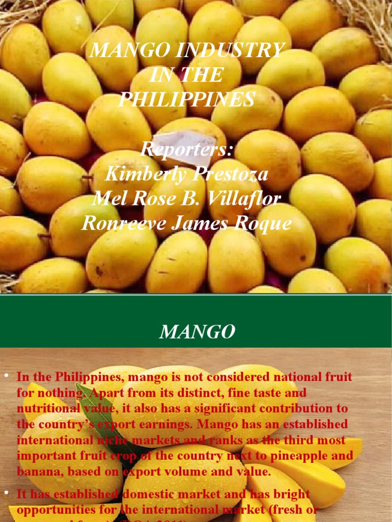 Mango production Mango Philippines