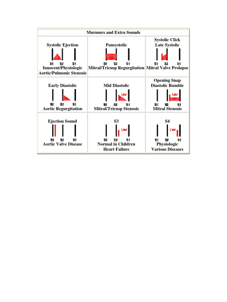 Understanding Heart Murmurs and Sounds | PDF