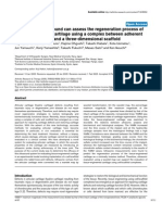 Ultrasound Cartilage Defect Analysis PDF