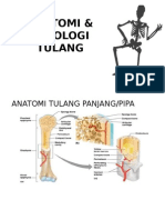 ANATOMI & FISIOLOGI TULANG