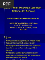 Download Panduan Praktis Kesehatan Maternal dan Neonatal by Ilmiah Bagus SN270091596 doc pdf