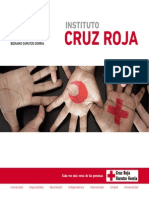 Cursos Cruz Roja Bizkaia - 2015