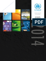 UNEP Programme Performance Report