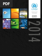 UNEP Programme Performance Report
