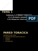 1.2 PARED TORACICA Esqueleto y Espacios Intercostales