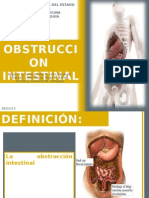 Obstruccion Intestinal