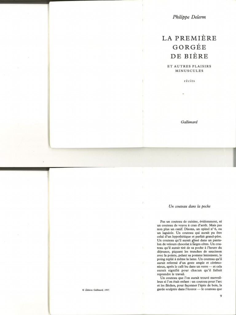 La Première Gorgée De Bière Pdf Gratuit