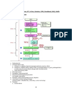 Neonatal Rescucitation Osce