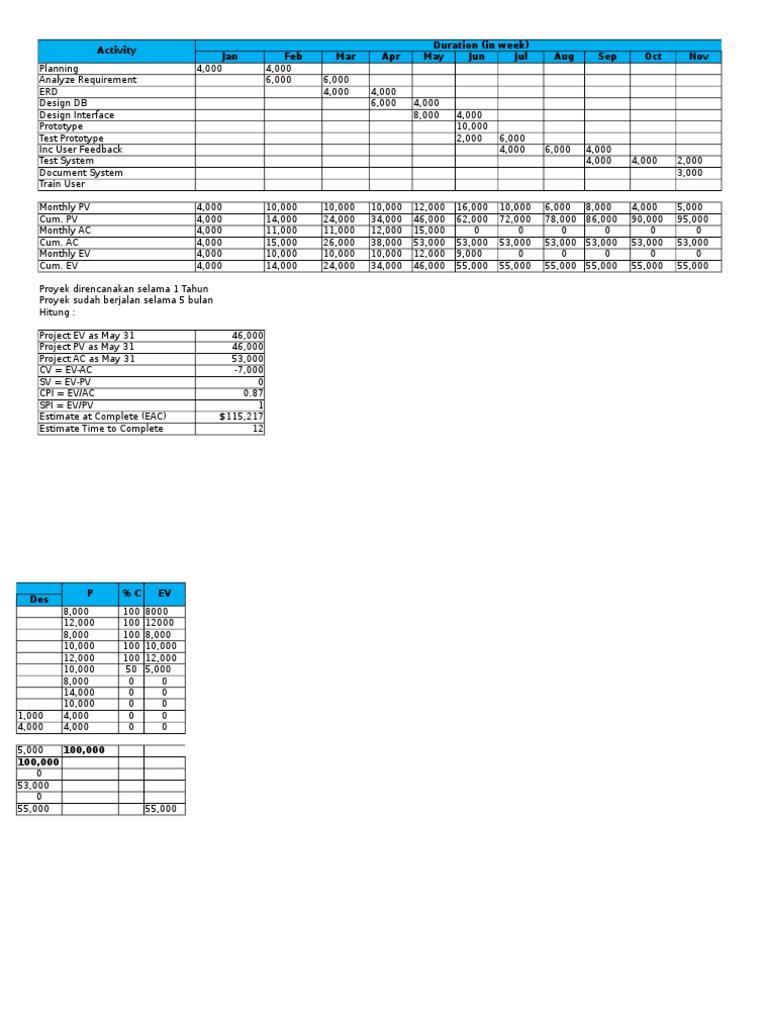 Project Performance Analysis | PDF | Business | Art