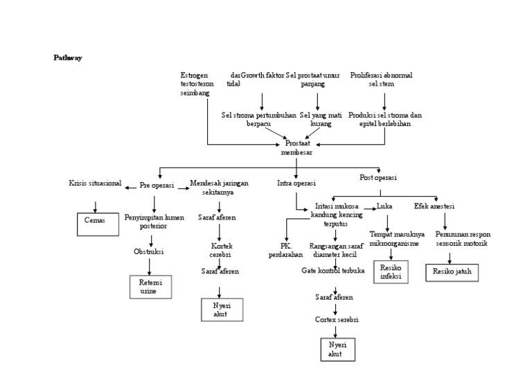 Pathway Resiko Pasca Operasi Prostat | PDF