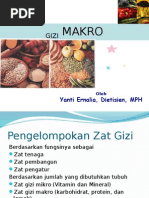 Gizi Makro