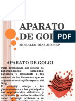 El Aparato de Golgi: Estructura, Funciones y Procesos Secretores
