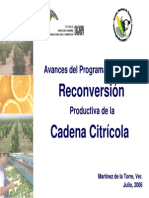 3. Avances Del Programa de Reconversion