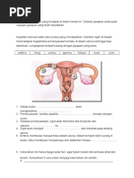 Download Pendidikan Kesihatan tahun 5 by Teacher SN270155268 doc pdf