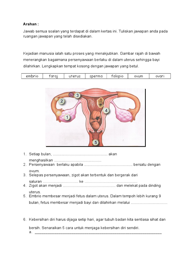 Soalan Latihan Pendidikan Kesihatan Tahun 5 - Riset