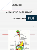 Apparatus Digestivus: Anatomi Geh