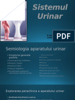 sistemul urinar.pptx