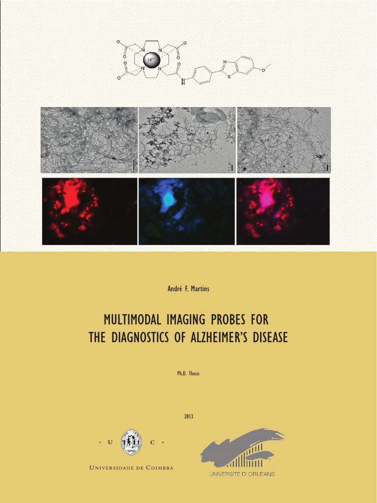Multimodal Imaging Probes | PDF