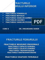 Fracturile-Membru-Inf.ppt