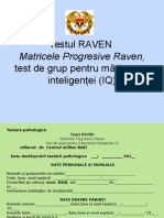 1013 Testul Raven 2f