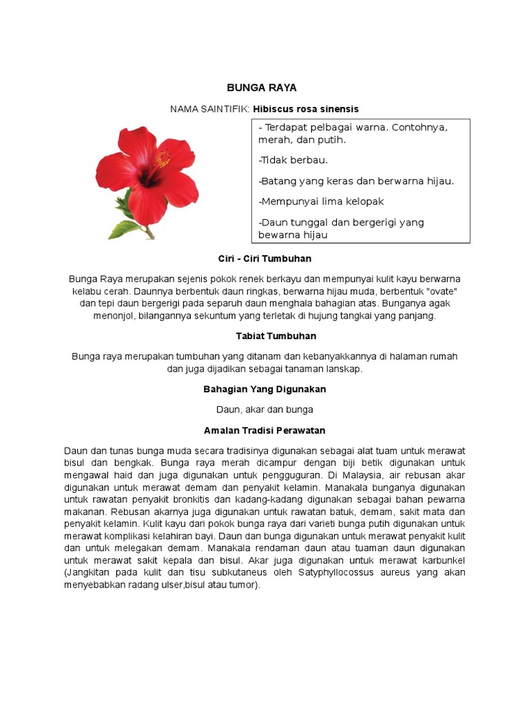 Bunga Raya | PDF