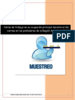 INFORME DE MUESTREO.docx