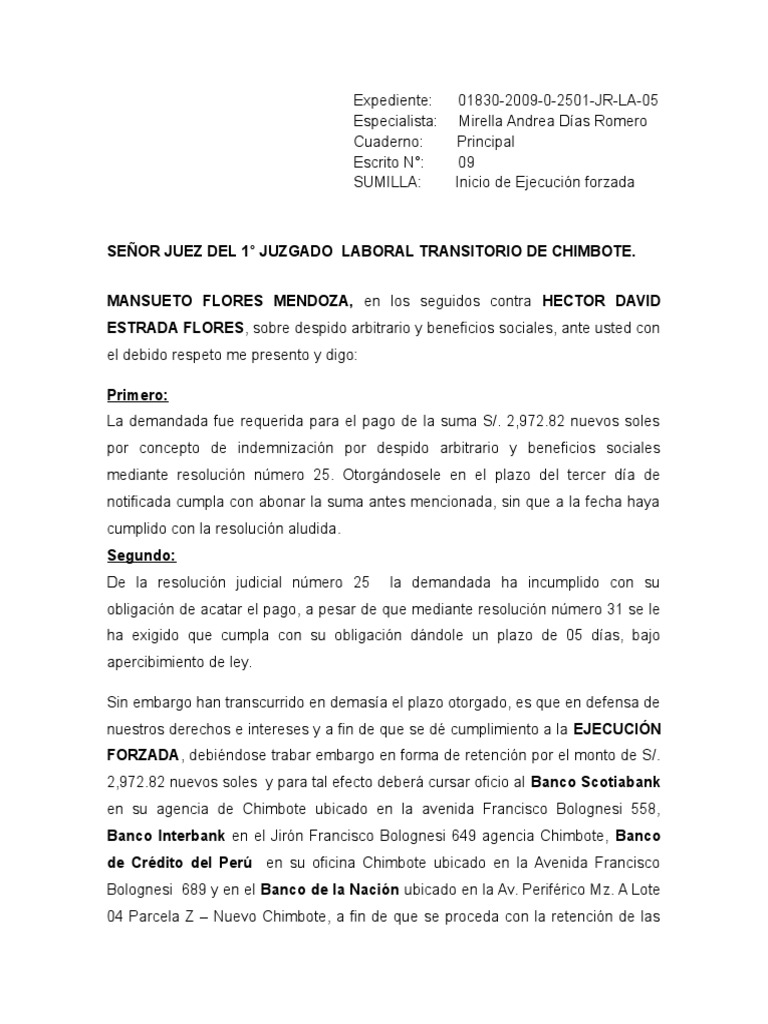 Escrito de Inicio de Ejecución Forzada | PDF