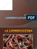 Lombricultura: cría y usos de la lombriz de tierra