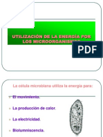 III.rutas Met3. Fermentaciones