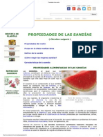 Propiedades de Las Sandías PDF