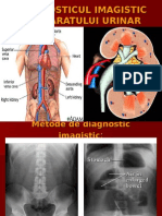 Curs Ix X Aparat Renal