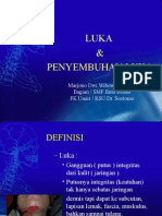 Luka Dan Perawatannya