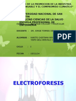 Electroforesisi