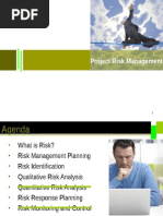 Project Risk Management