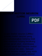 79740748 Lower Motor Neuron LMN