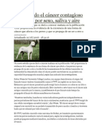 Confirmado El Cáncer Contagioso en Perros Por Sexo PDF