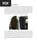 Download Kayu Teras Kemuning Hitam by sampoernahijau SN270224279 doc pdf