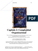 Complejidad Organizacional