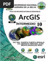 Download Manual Arcgis Intermedio by Enrique Cruz Checco SN270233250 doc pdf