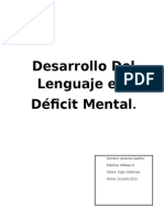 Deficit Mental Desarrollo Lenguaje