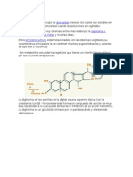 Saponinas: glucósidos oleosos con acciones terapéuticas